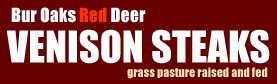 Bur Oaks Logo